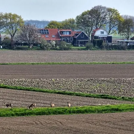 Luxe In Dijkboerderij *