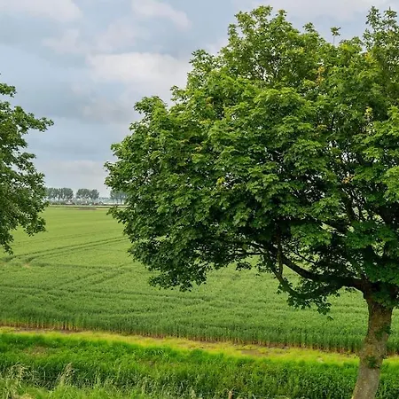 Luxe In Dijkboerderij